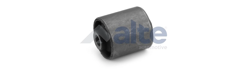 Bushing, axle beam (89410AL)