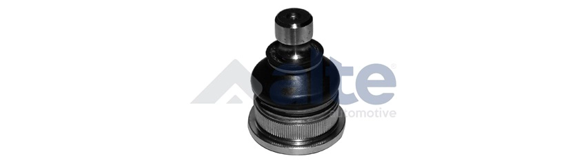 Ball Joint (81123AL)