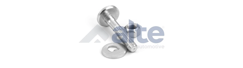 Mounting Kit, control/trailing arm (83484AL)