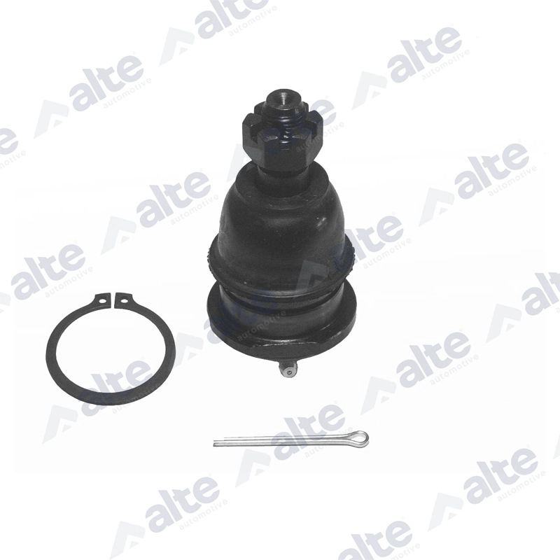 Ball Joint (84020AL)