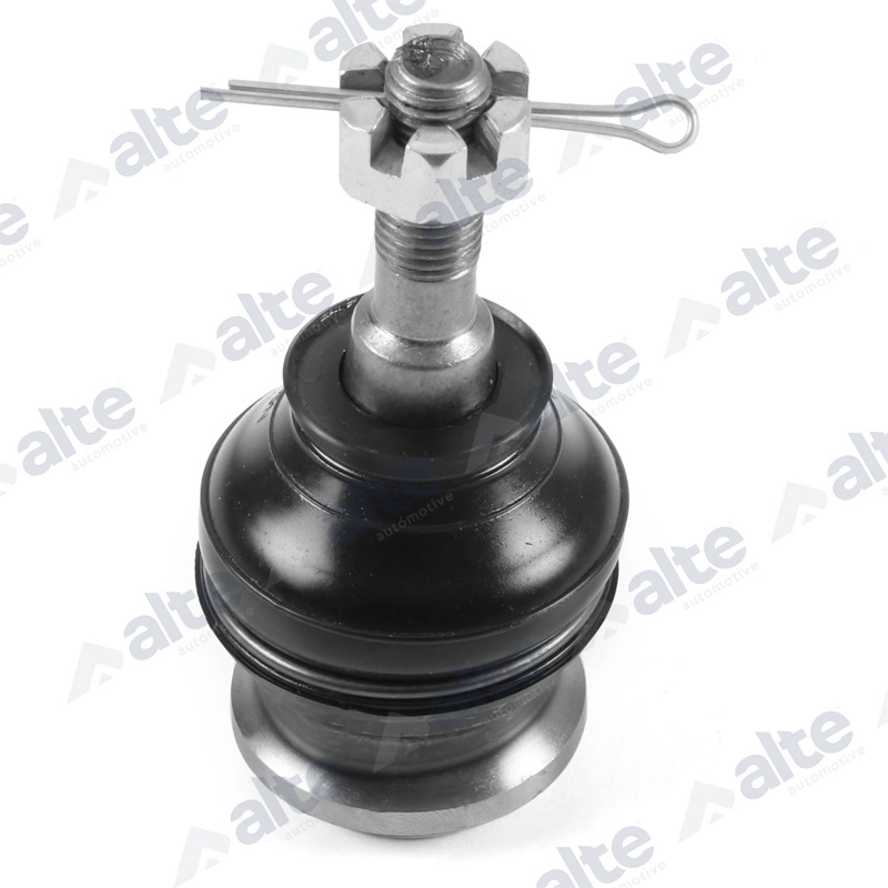 Ball Joint (78875AL)