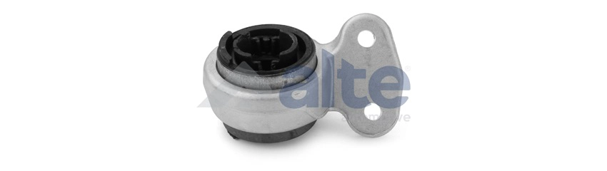 Mounting, control/trailing arm (79118AL)