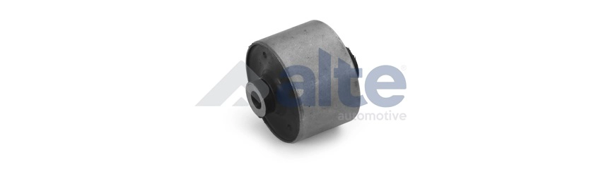 Mounting, control/trailing arm (91206AL)