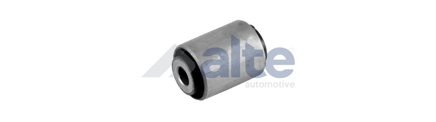 Mounting, control/trailing arm (104261AL)