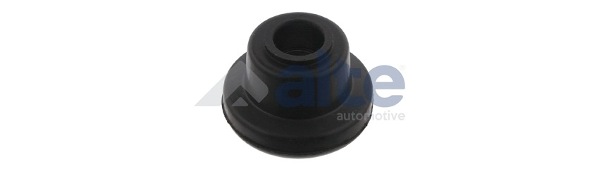 Mounting, control/trailing arm (90000AL)