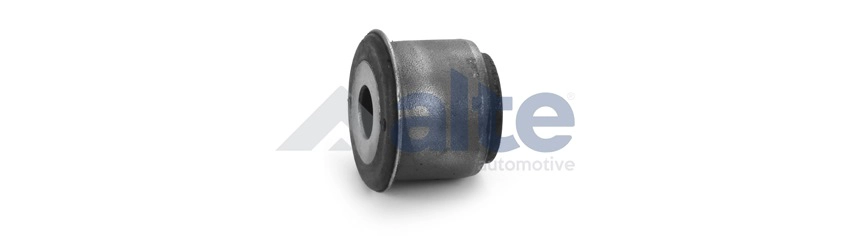 Bushing, axle beam (91632AL)