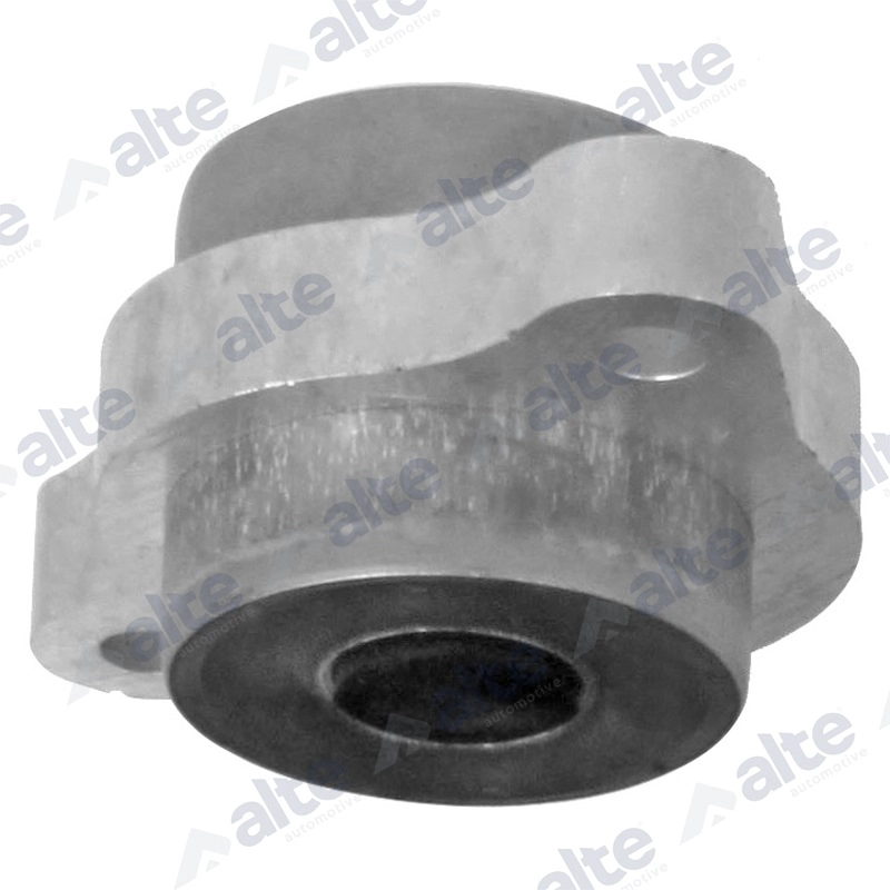 Mounting, control/trailing arm (91041AL)