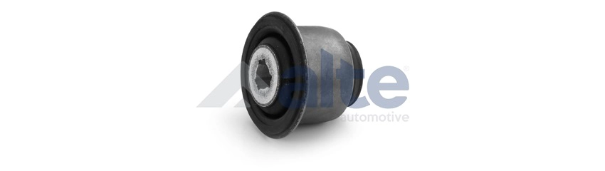 Mounting, control/trailing arm (81058AL)