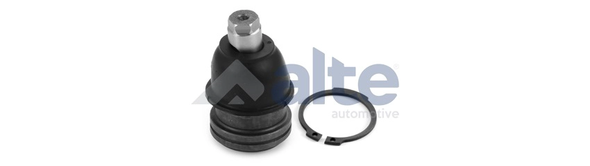 Ball Joint (81107AL)