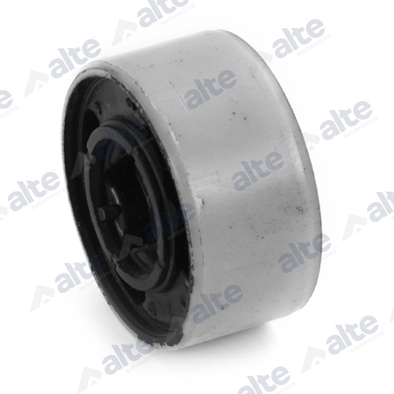 Mounting, control/trailing arm (80905AL)