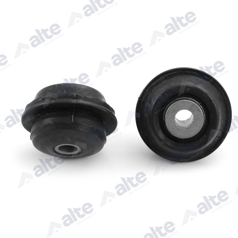 Mounting, control/trailing arm (80899AL)