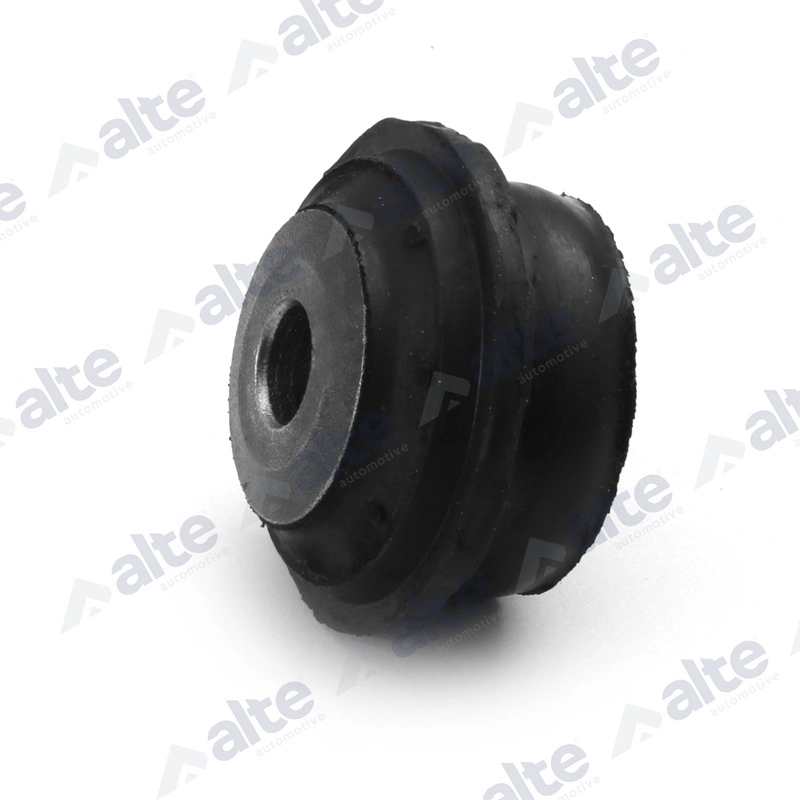 Mounting, control/trailing arm (80123AL)