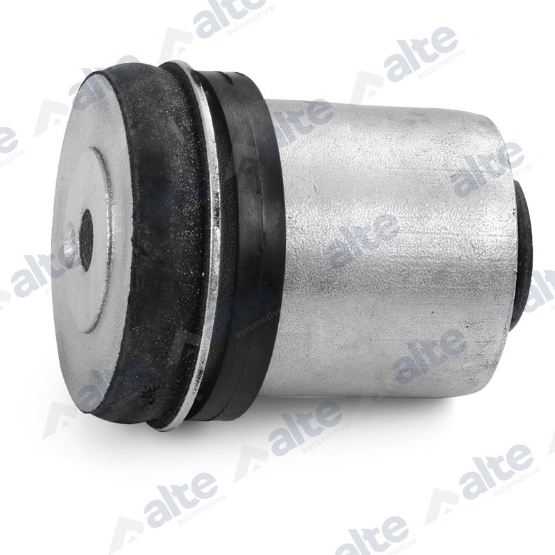Bushing, axle beam (85038AL)