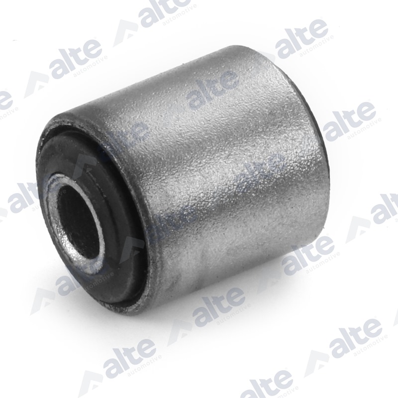 Mounting, control/trailing arm (80125AL)