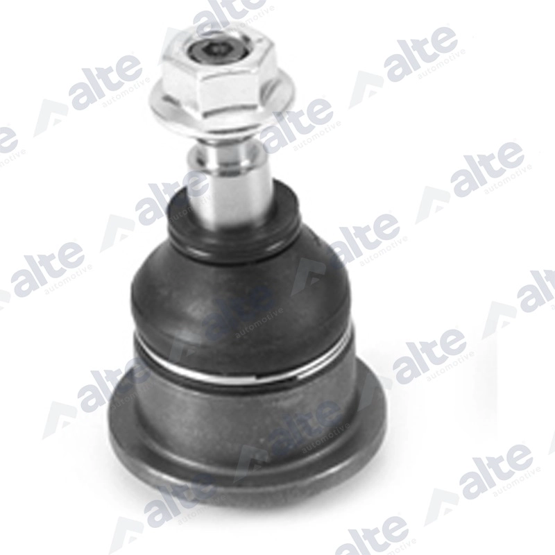 Ball Joint (95789AL)