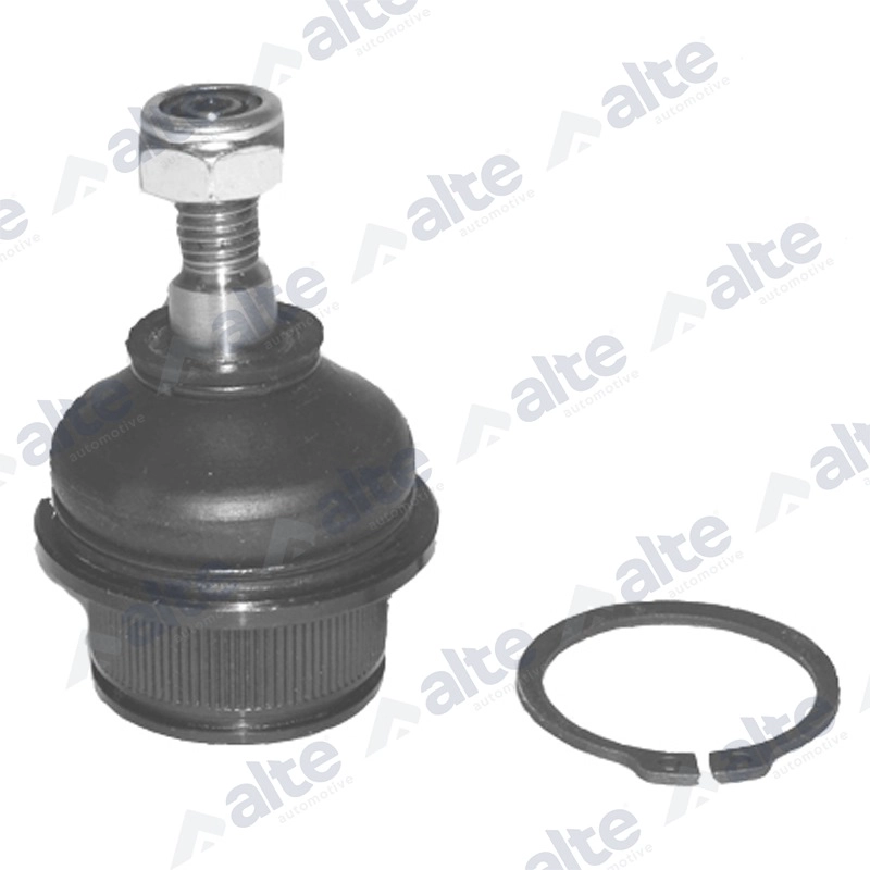 Ball Joint (78717AL)