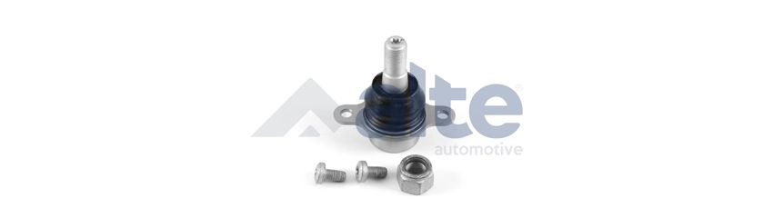 Ball Joint (87879AL)