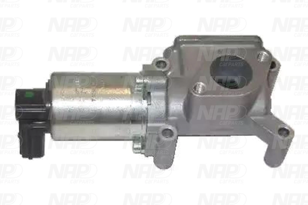 EGR Valve (CAV10042)