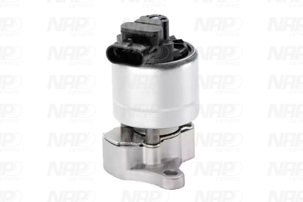 EGR Valve (CAV10005)