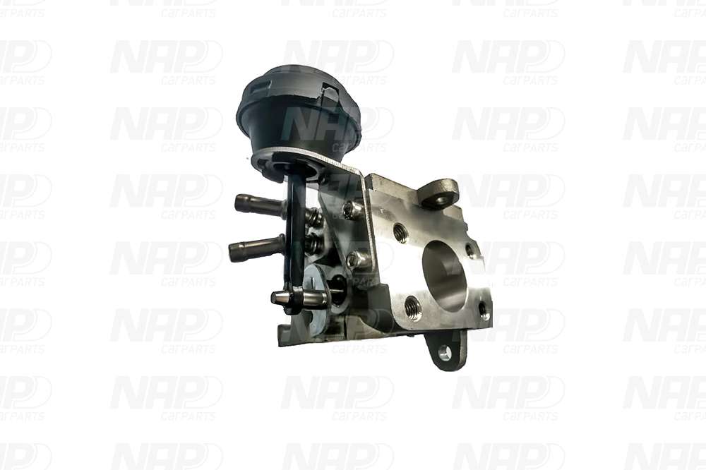 EGR Valve (CAV10177)