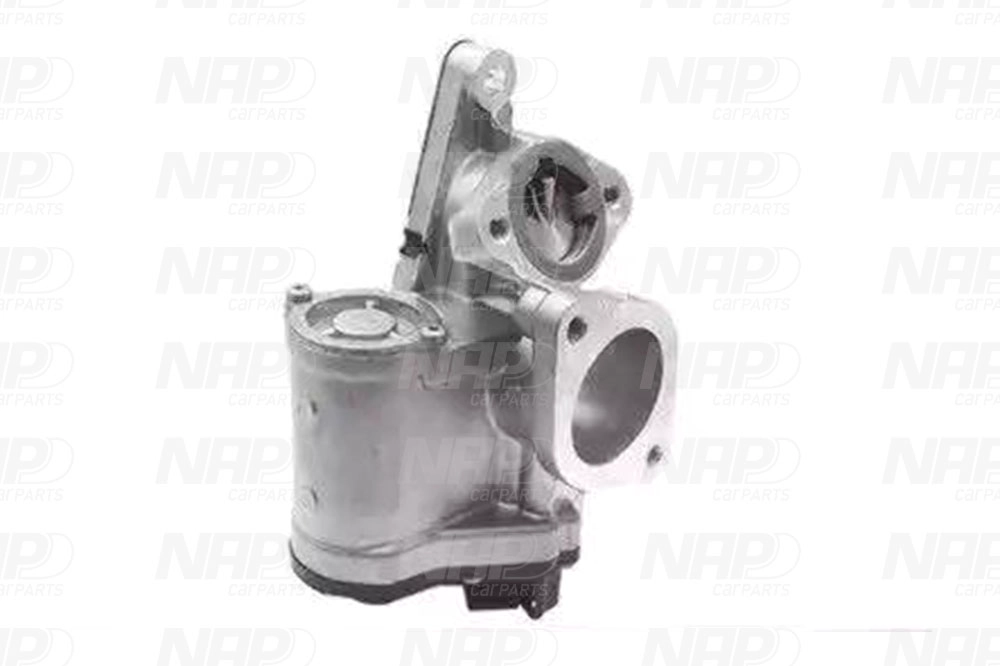 EGR Valve (CAV10094)