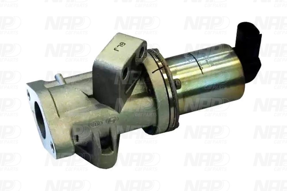 EGR Valve (CAV10117)