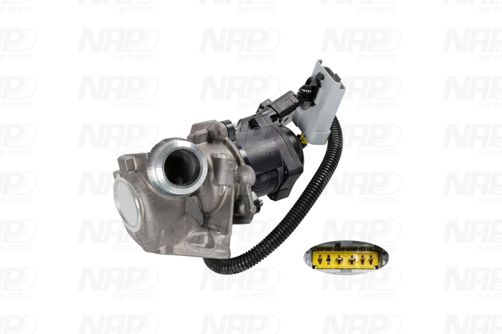 EGR Valve (CAV10078)