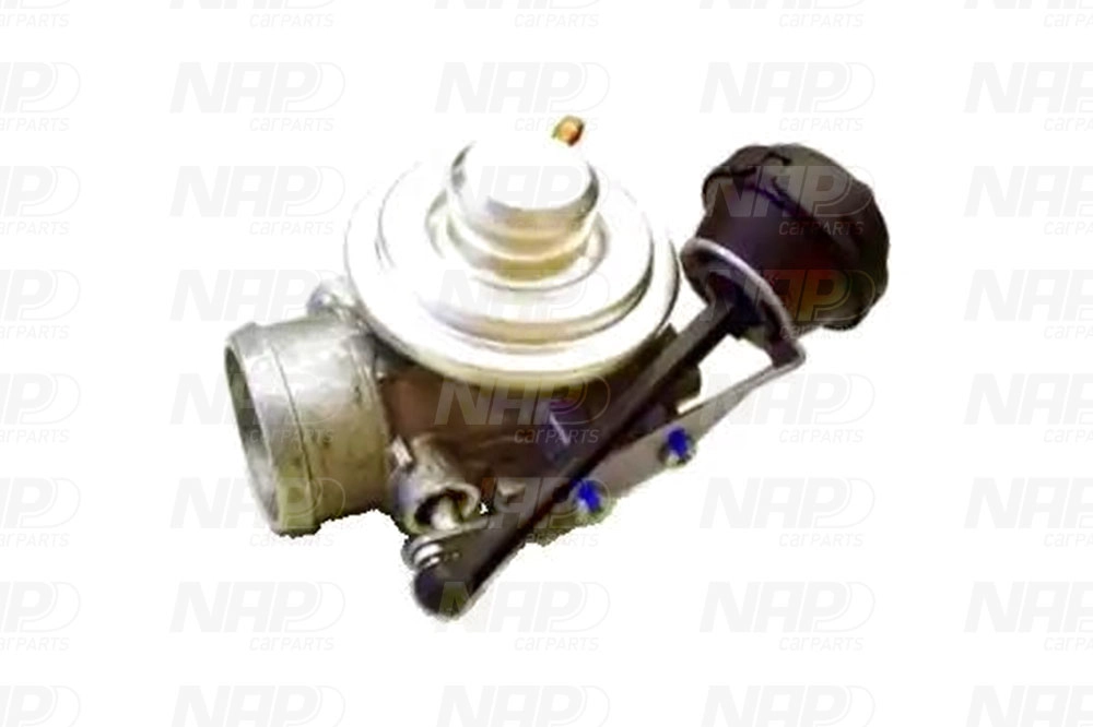 EGR Valve (CAV10085)
