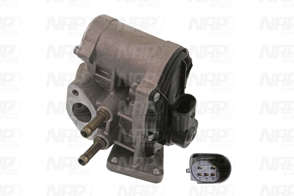 EGR Valve (CAV10096)