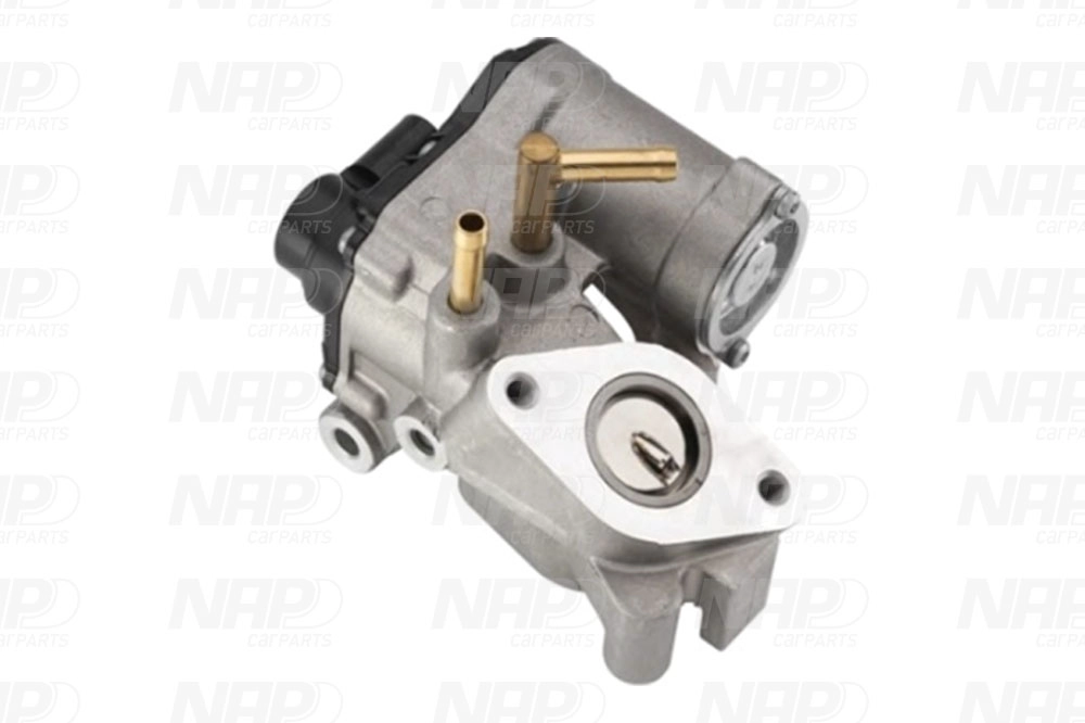EGR Valve (CAV10145)