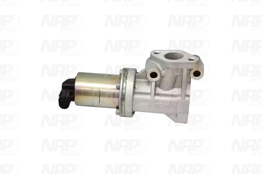 EGR Valve (CAV10072)