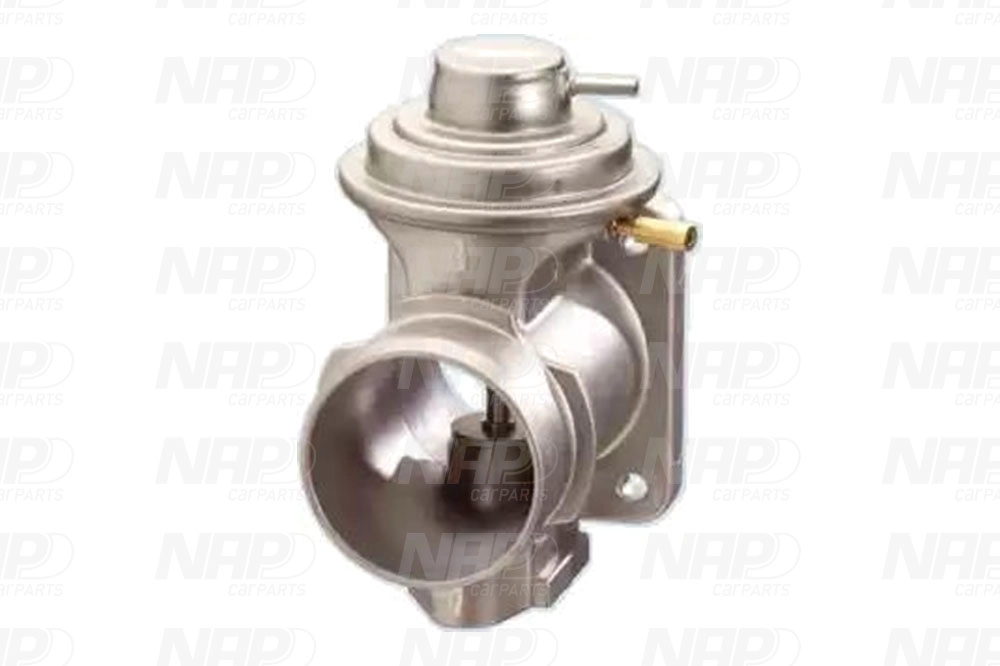 EGR Valve (CAV10130)