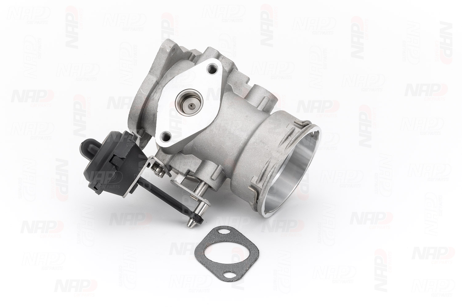 EGR Valve (CAV10050)