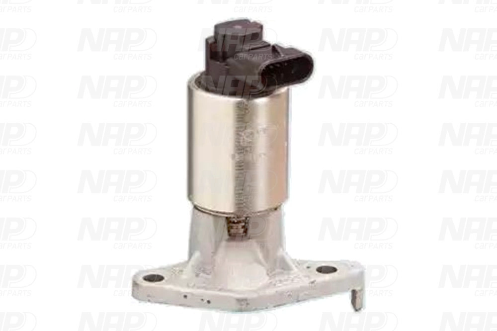 EGR Valve (CAV10046)