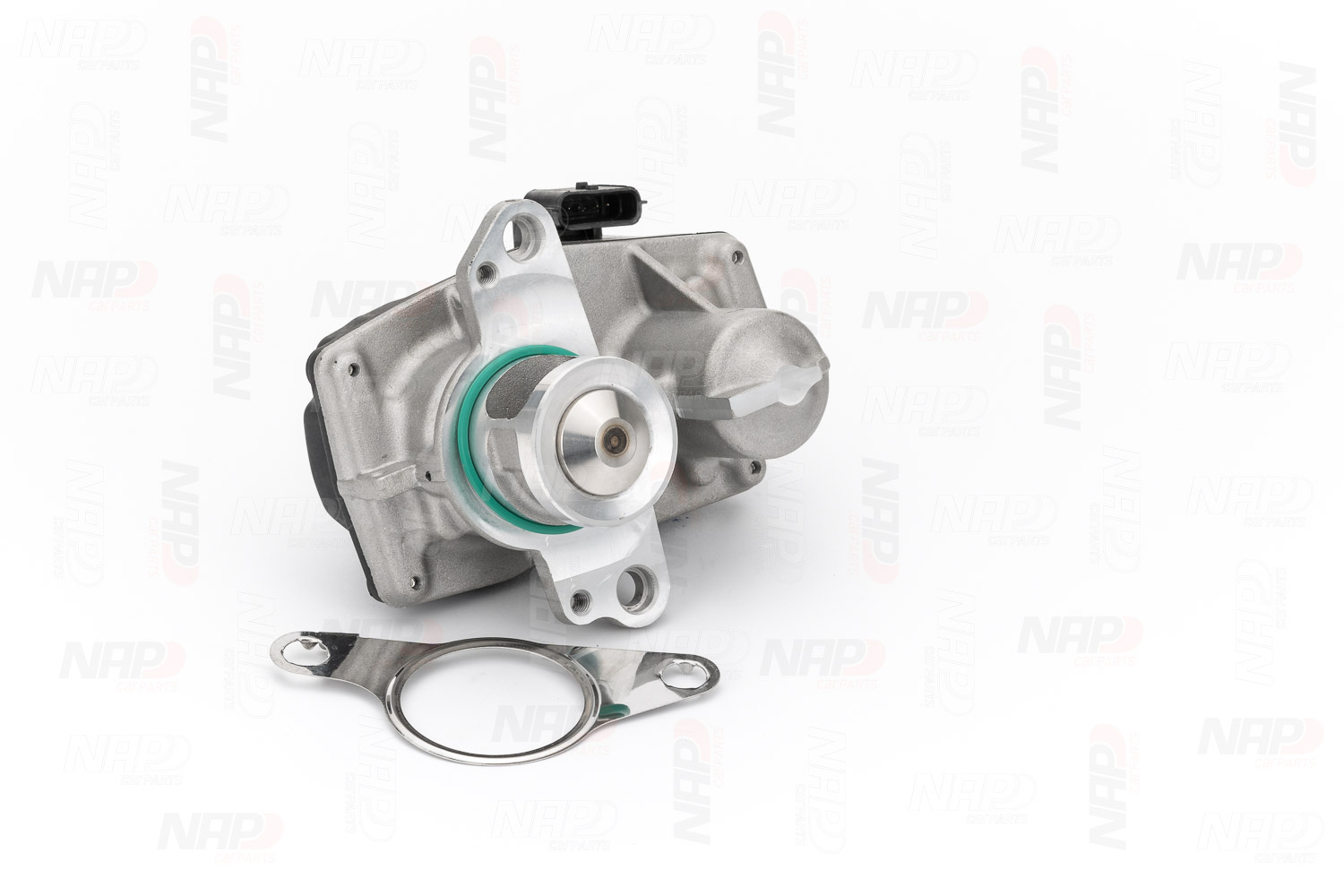 EGR Valve (CAV10171)