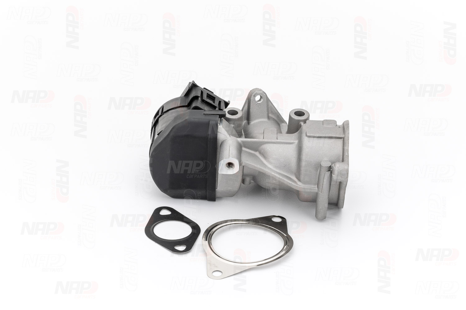 EGR Valve (CAV10065)