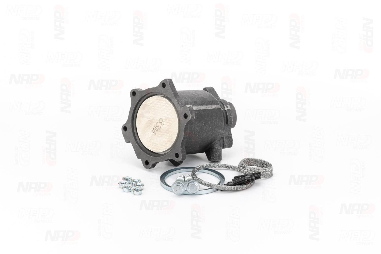 Catalytic Converter (CAK10192)