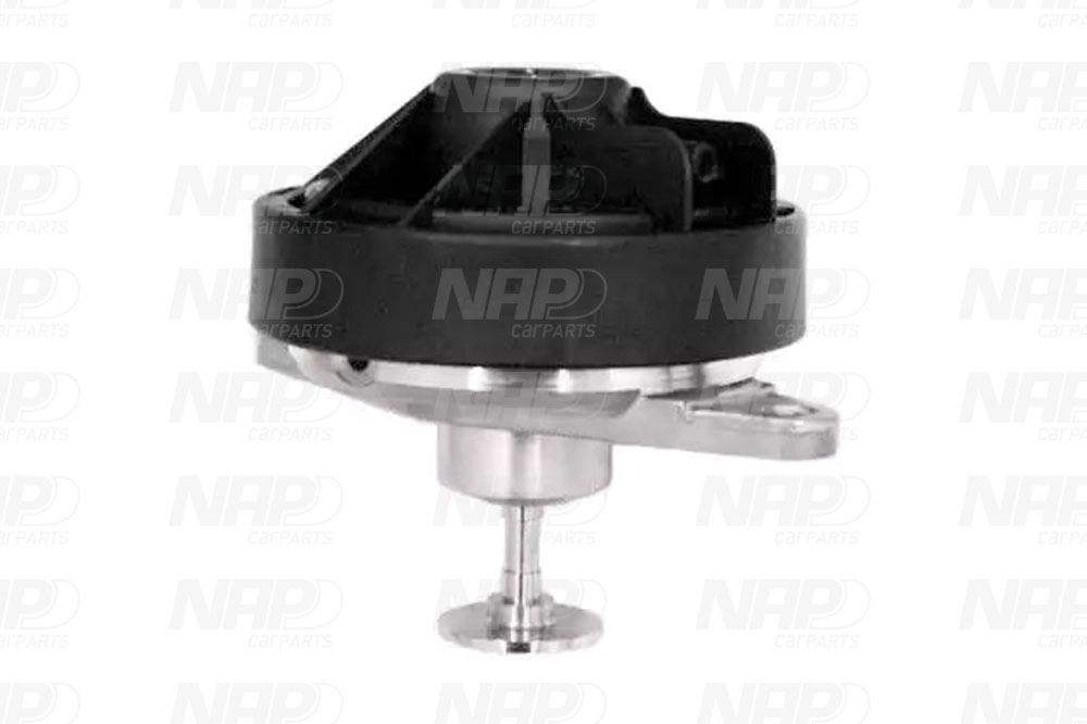 EGR Valve (CAV10021)
