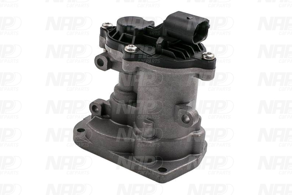 EGR Valve (CAV10097)