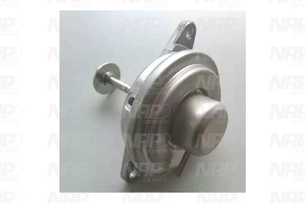 EGR Valve (CAV10022)