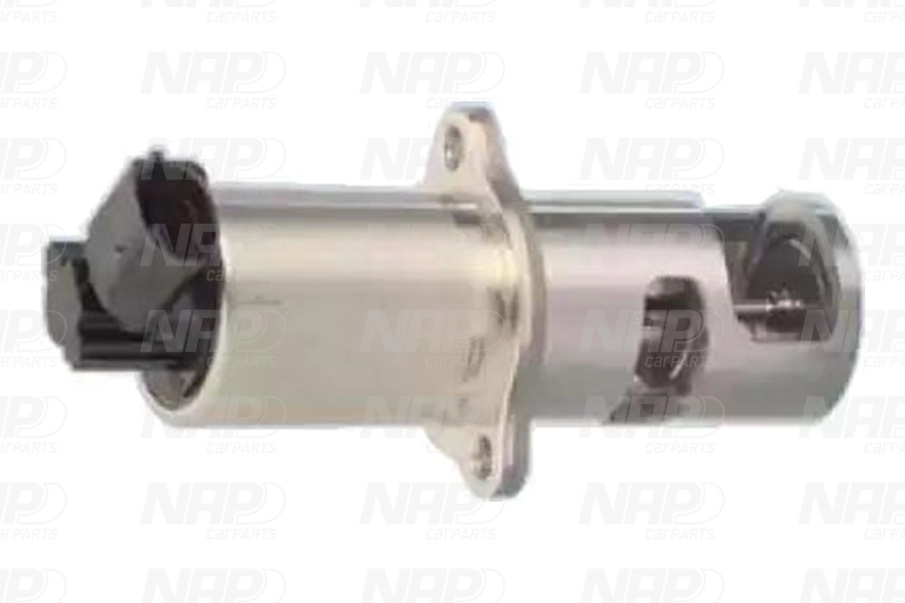 EGR Valve (CAV10019)