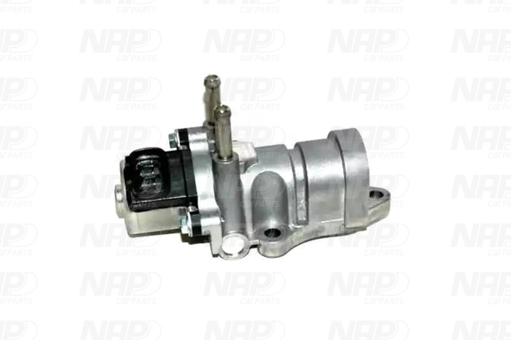 EGR Valve (CAV10162)
