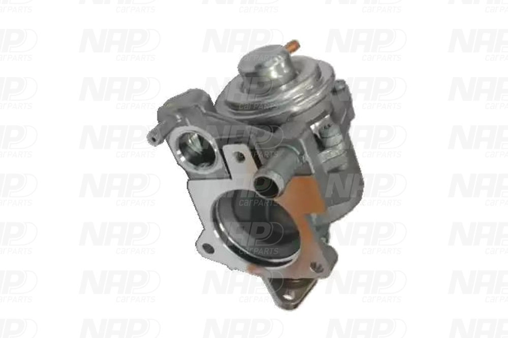 EGR Valve (CAV10139)