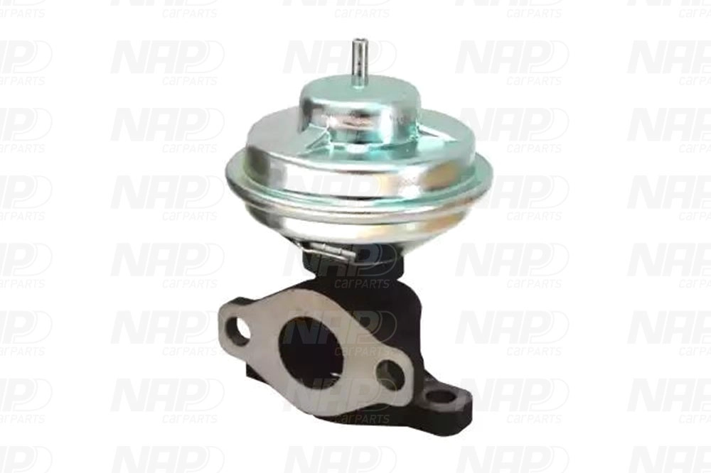EGR Valve (CAV10143)