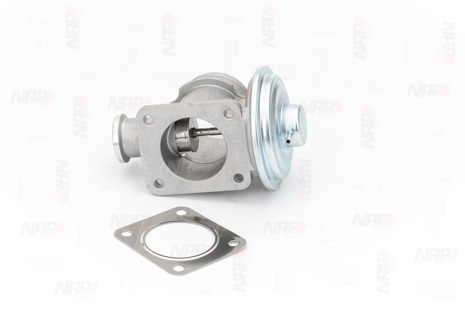 EGR Valve (CAV10135)