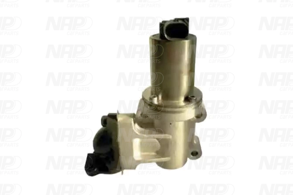 EGR Valve (CAV10157)