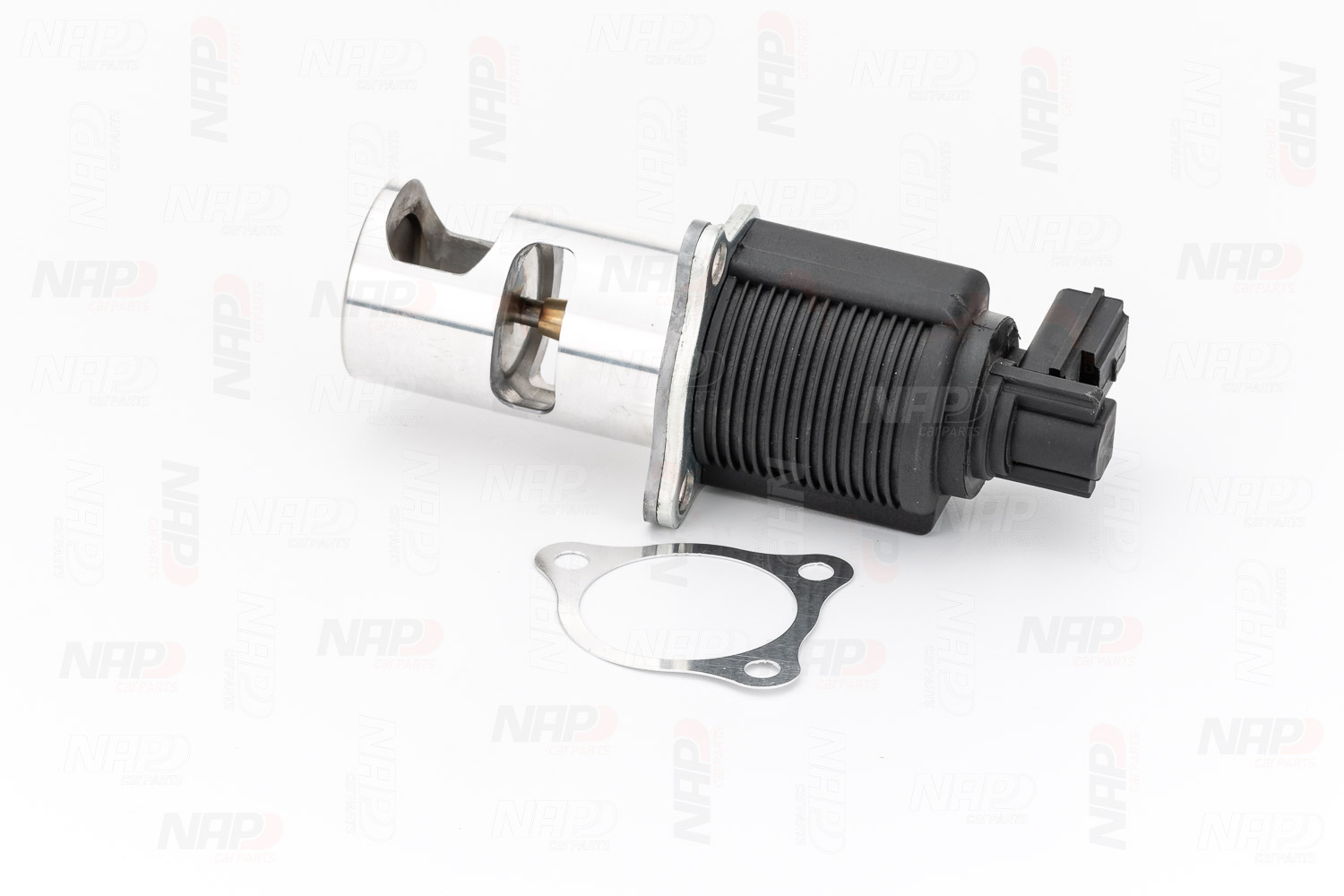 EGR Valve (CAV10018)