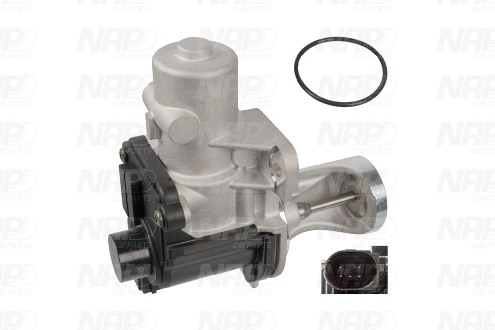 EGR Valve (CAV10127)