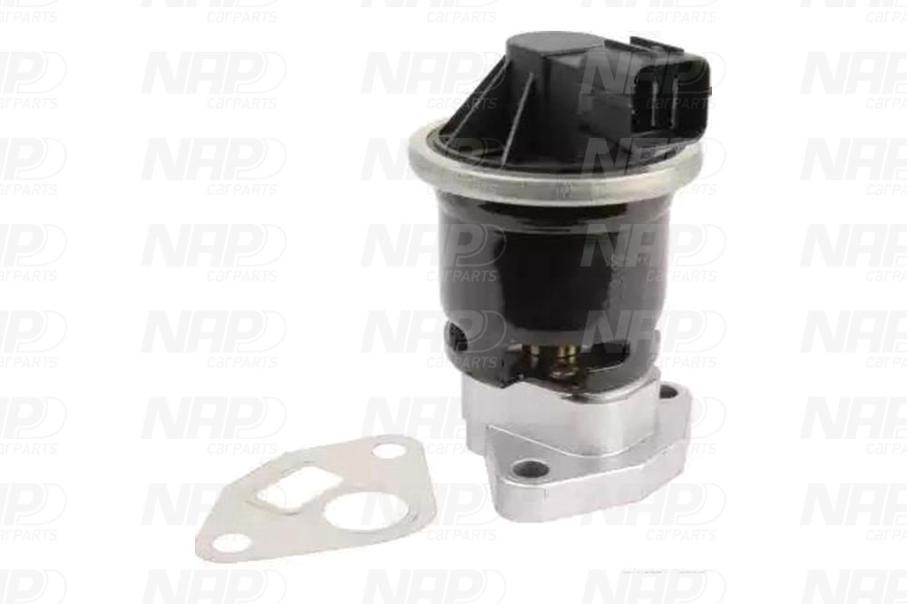 EGR Valve (CAV10102)