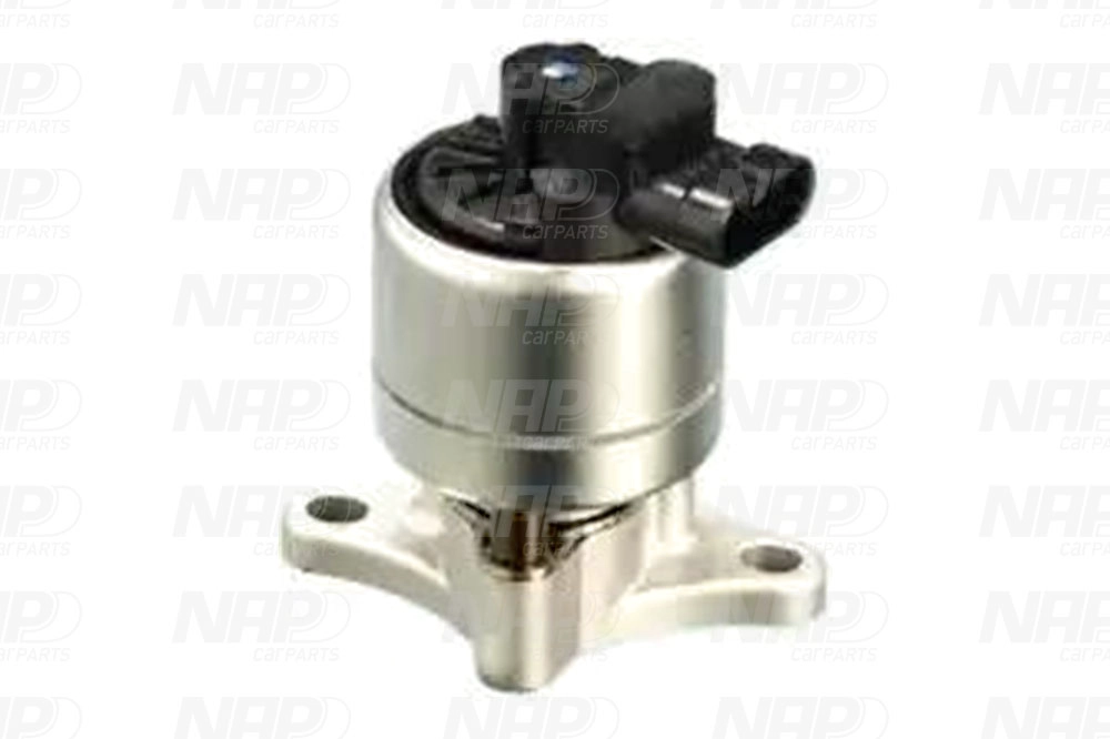 EGR Valve (CAV10006)